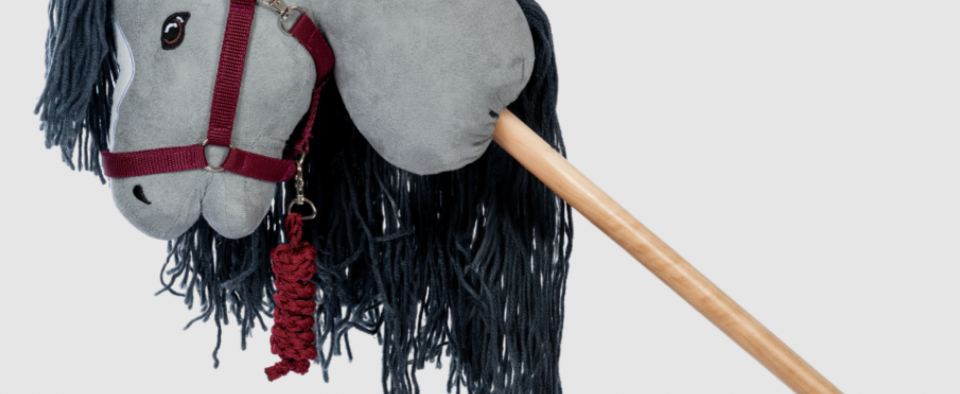 Zabawki Hobby Horse – jakie modele cieszą się największą popularnością?