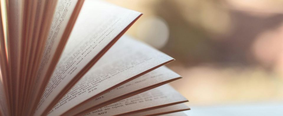 Książki Muminki i opowieści o zwierzętach – dlaczego warto wprowadzać dziecko w świat literatury już od najmłodszych lat?