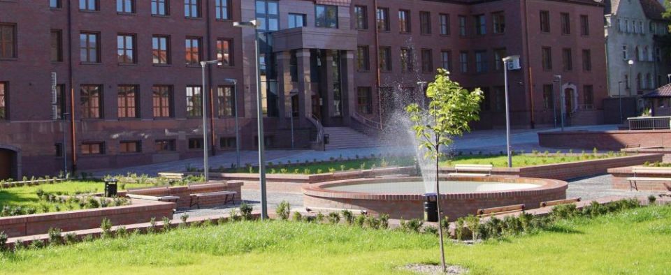 Zabawa i wspólne odkrywanie czyli Festiwal Nauki w AWF-ie